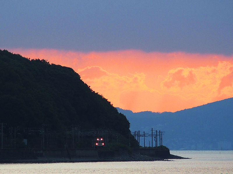 サムネイル画像